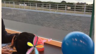 絶景とグルメ！