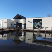 相模川に特化した水族館