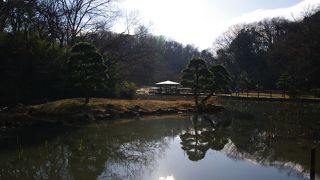 横浜市の区界の公園