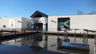 相模川に特化した水族館
