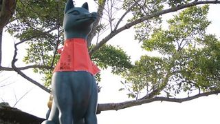 お気に入りを探す楽しみ