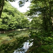 奥入瀬渓谷の川面は澄み切って美しい。