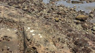 自然の偉大さを感じますが、洗濯板ってなに？