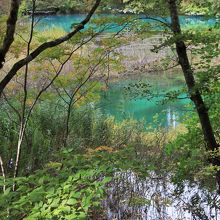 手前の水面から向こうへの色の変化
