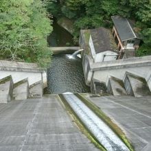 堤体上から下流側を望む