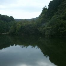 ダム湖（しゃくなげ湖）