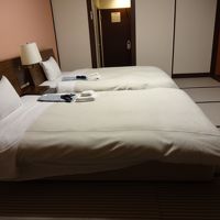 客室は広めですが古い