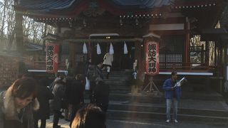 元旦はにぎやかでした