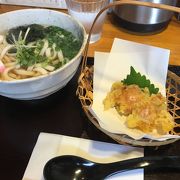 だしのきいた優しい味のうどん