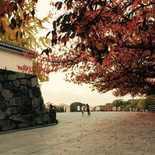 早朝に貸切状態でサイクリング♪