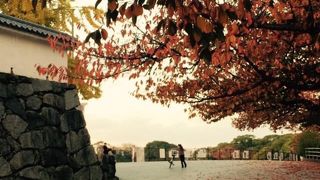 紅葉時期の早朝サイクリング