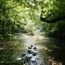 石ヶ戸の瀬です。