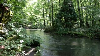 静かな流れに心身ともに癒される。