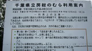 広大な敷地にいくつもの建物も再現されています