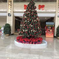 ロビーにクリスマスツリー