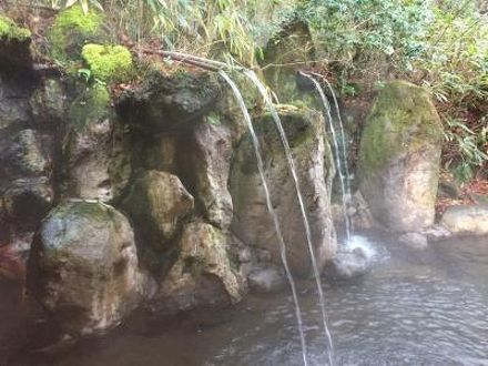 筋湯温泉　四季の宿　すじゆ 写真