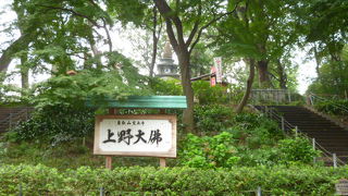 鎌倉や奈良の大仏様とは比較になりません。