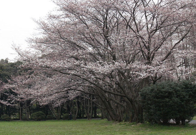 秋ケ瀬公園 クチコミ アクセス 営業時間 浦和 フォートラベル