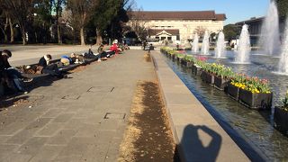 ポカポカ陽気の大きい公園