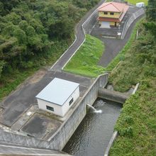 ダム堤体上から下流側を望む