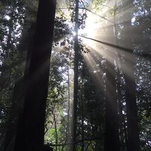 女道の途中