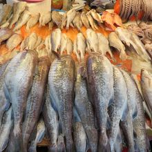 魚介類があります