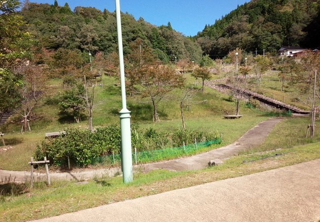 子供はテンション上がりそう