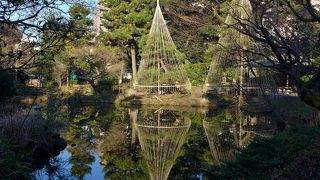 静かな庭園を楽しめました