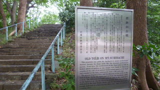 言われなければ古墳とは気が付きません。