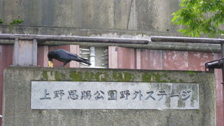 不忍池を借景にするかのように建てられています。