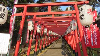 まけきらい稲荷！