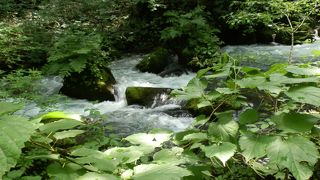 「九十九島」を示す看板は遊歩道ではなく、車道の国道102号沿いに設置されている