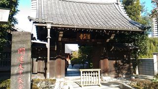 周辺散策する人で賑わっています。