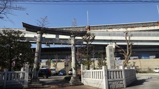 昔は水神の森があった。