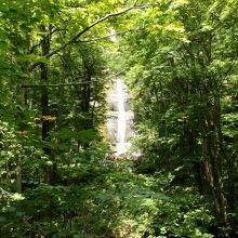 ズームしなければこの状態で見えます。