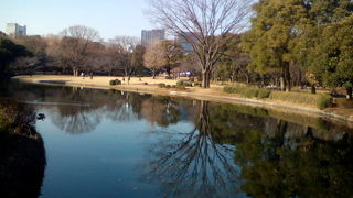 東京のど真ん中で池、芝生、樹木に癒される
