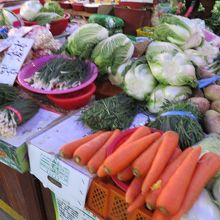 野菜・果物があります