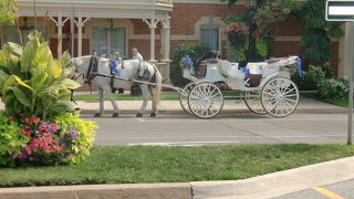 花がとてもキレイな散歩道