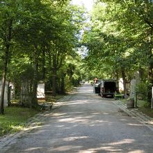墓地中央の道