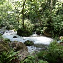 石ヶ戸付近の奥入瀬渓流。