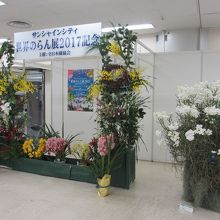 サンシャインシティ世界のらん展