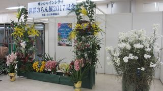 サンシャインシティ世界のらん展