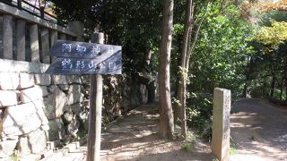 早朝の散歩が心地いい！