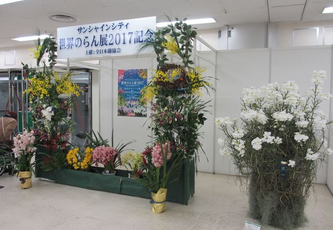 サンシャインシティ世界のらん展 クチコミ アクセス 営業時間 池袋 フォートラベル