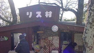 ロープウェイの時間待ちに最適