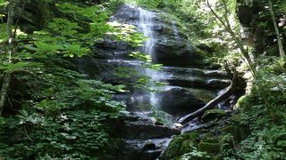 太古の奥入瀬渓谷に触れられる場所