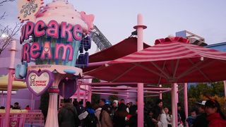 朝早い時間がおすすめです。