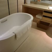 バスタブと洗面