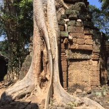 自然との融合がすばらしい