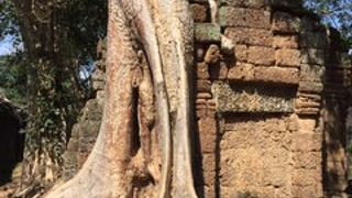 これはすごい！